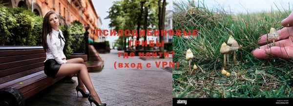 мяу мяу мука Медвежьегорск