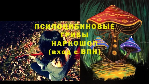 ПСИЛОЦИБИНОВЫЕ ГРИБЫ Медногорск