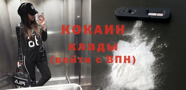 ПСИЛОЦИБИНОВЫЕ ГРИБЫ Медногорск