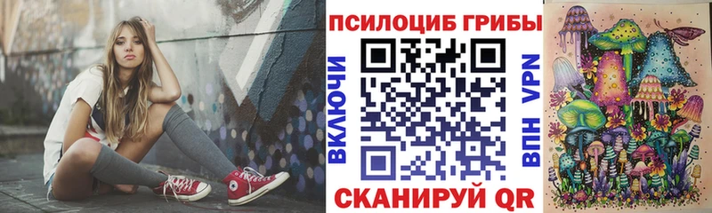 где найти   darknet официальный сайт  Псилоцибиновые грибы мухоморы  Севастополь 
